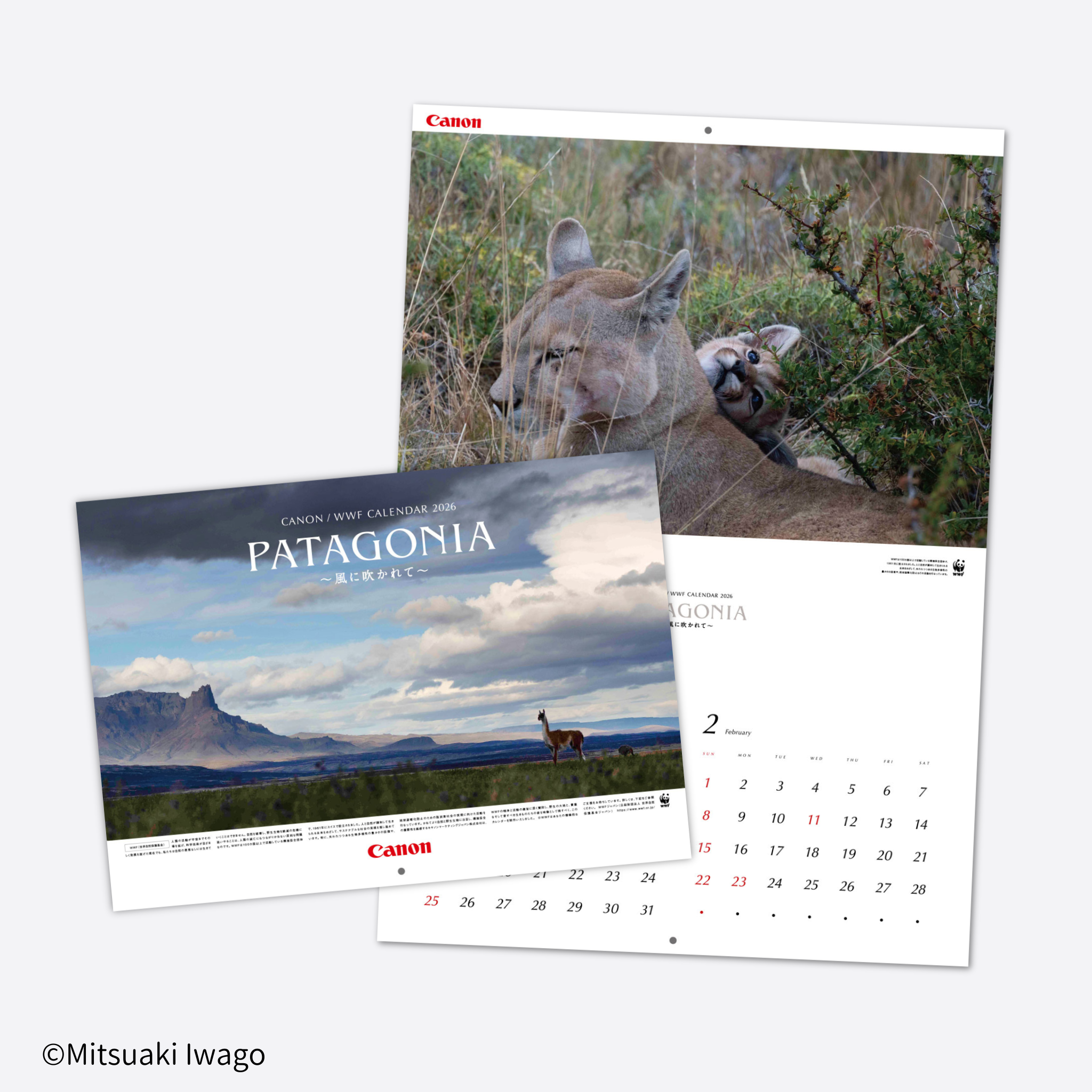 2026 岩合光昭カレンダー – WWFジャパン PANDA SHOP