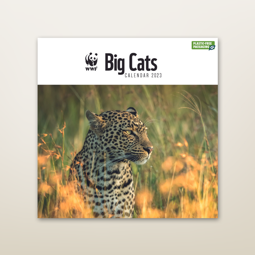 WWF 壁かけカレンダー2023 Big Cats(セール)