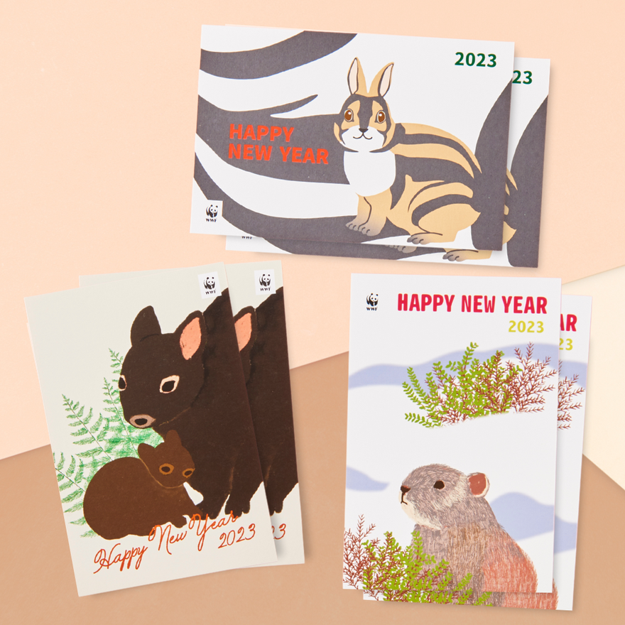 2023 WWF 年賀状 卯年 6枚セット(セール)