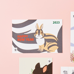 2023 WWF 年賀状 卯年 6枚セット(セール)
