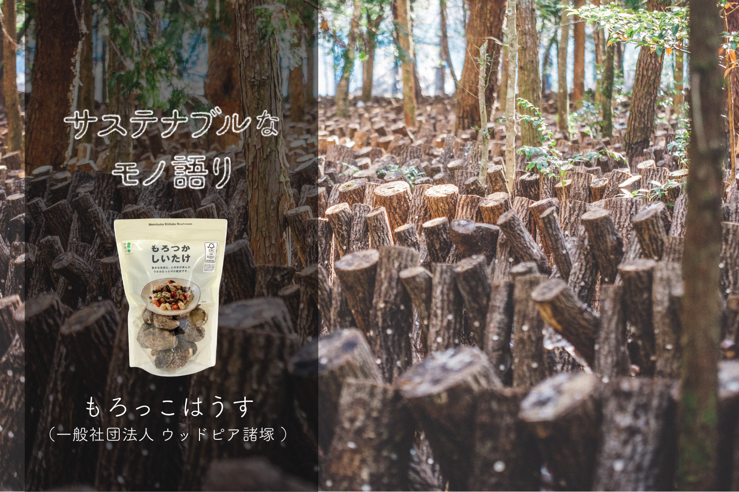 もろっこはうす