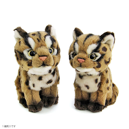 ネコ科ぬいぐるみ・イリオモテヤマネコ（子）　