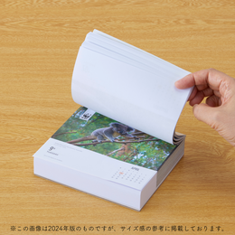 WWF 日めくりカレンダー2025 Natural World Box