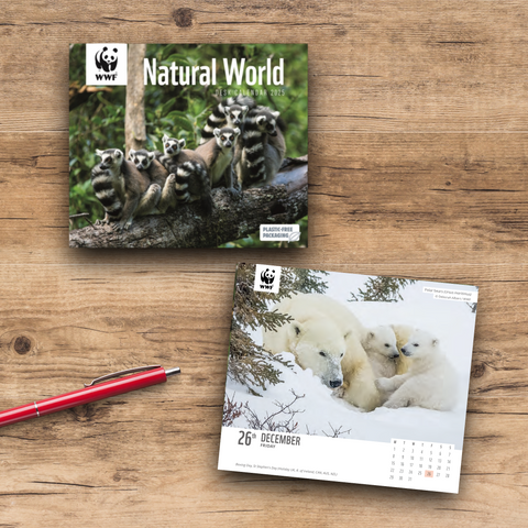 WWF 日めくりカレンダー2025 Natural World Box