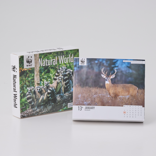 WWF 日めくりカレンダー2025 Natural World Box