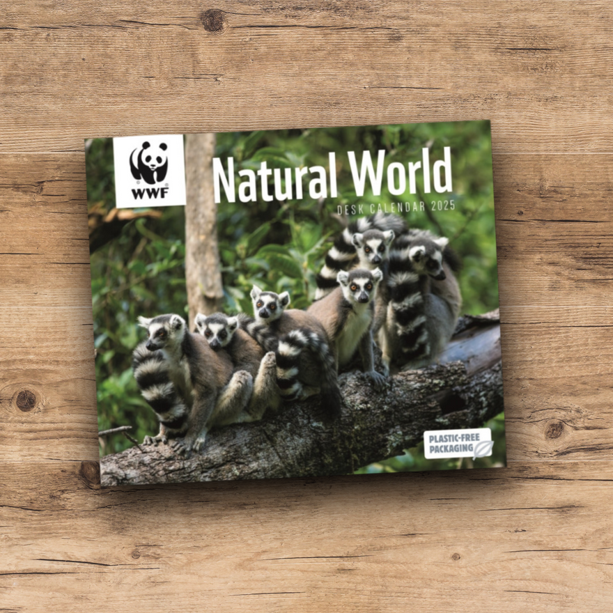 WWF 日めくりカレンダー2025 Natural World Box