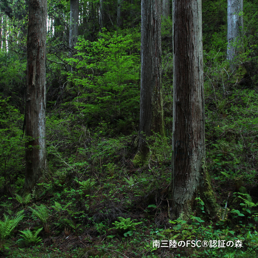 南三陸スギ 本立て 組み立てキット