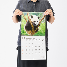 パンダ カレンダー 2026