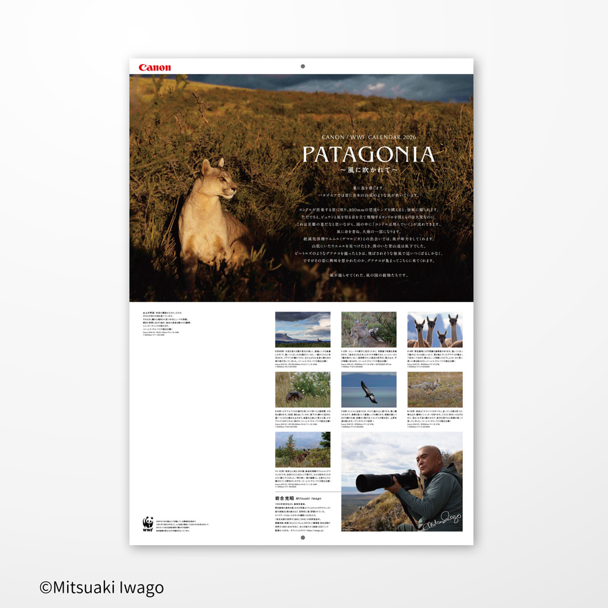 2026 岩合光昭カレンダー