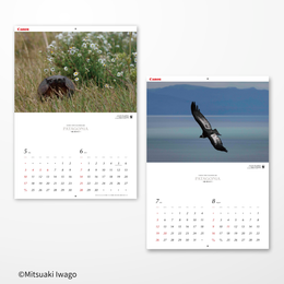 2026 岩合光昭カレンダー