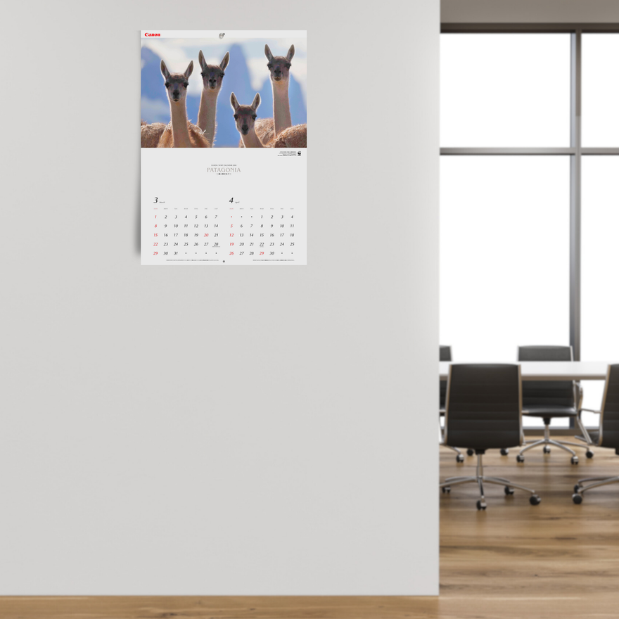 2026 岩合光昭カレンダー