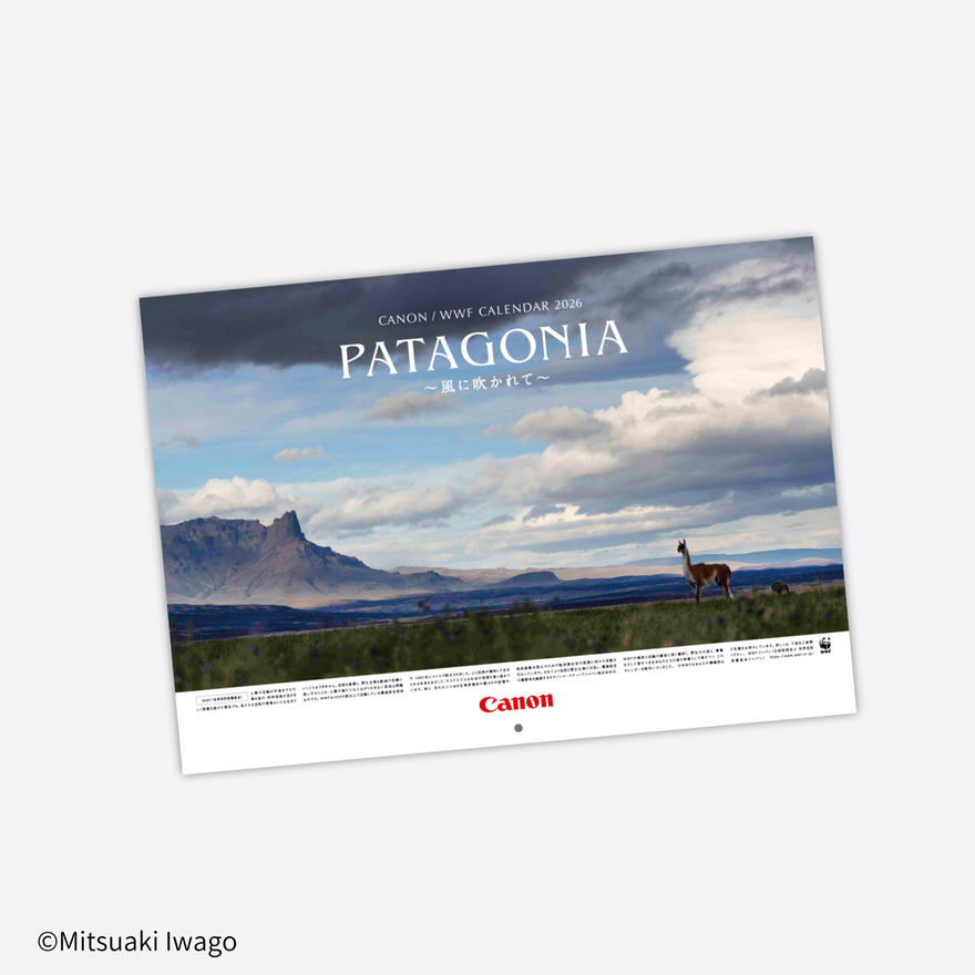 2026 岩合光昭カレンダー