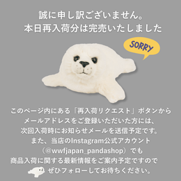 BON TON TOYS WWF SEAL ※1度のお会計で1点のみ（ご購入制限）