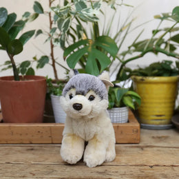 【次回入荷時期未定】BON TON TOYS WWF WOLF