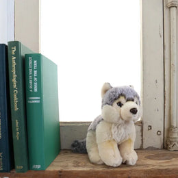 【次回入荷時期未定】BON TON TOYS WWF WOLF