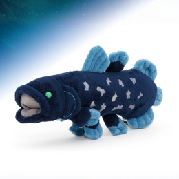 キーチェーン シーラカンス