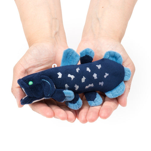 キーチェーン シーラカンス