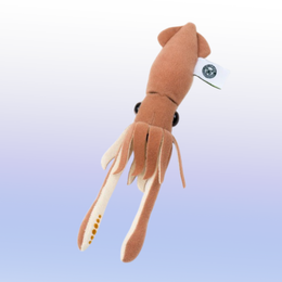 キーチェーン ダイオオイカ