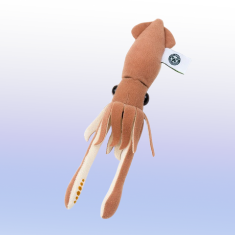 キーチェーン ダイオオイカ