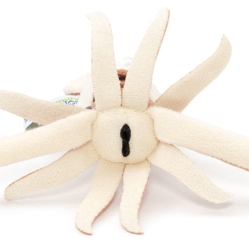 キーチェーン ダイオオイカ