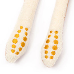 キーチェーン ダイオオイカ