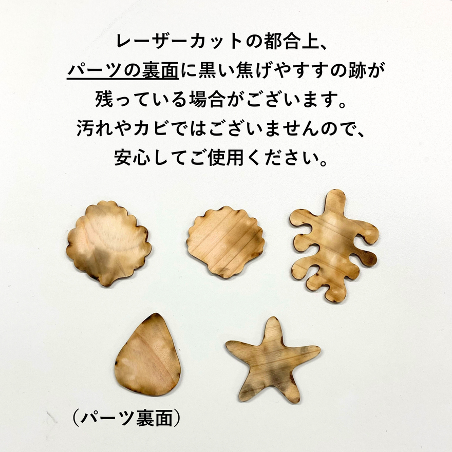 送料無料対象】ディーン・フジオカ コラボ 木製リース組み立てキット 送料無料対象】ディーン・フジオカ コラボ 木製リース組み立てキット