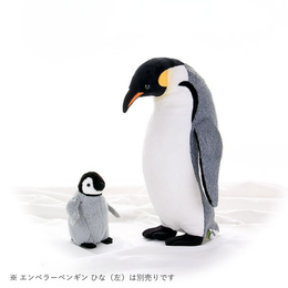 ぬいぐるみ エンペラーペンギン 親