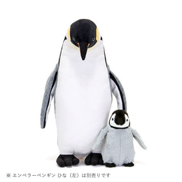 ぬいぐるみ エンペラーペンギン 親