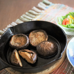 諸塚村産 乾しいたけ 肉厚 どんこ100g ギフトBOX