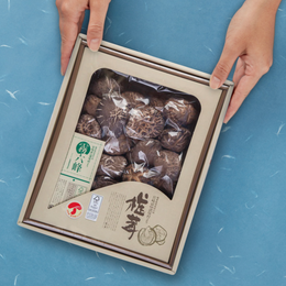 諸塚村産 乾しいたけ 肉厚 どんこ100g ギフトBOX