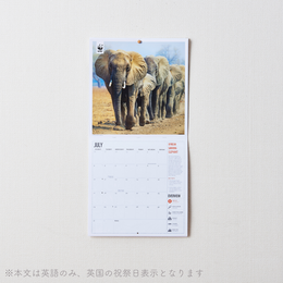 WWF 壁かけカレンダー2023 Amazing Wildlife(セール)