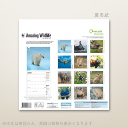 WWF 壁かけカレンダー2023 Amazing Wildlife(セール)