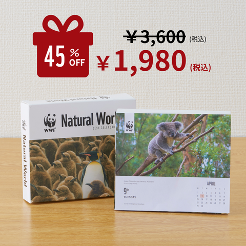 WWF 日めくりカレンダー2024 Natural World Box(セール)