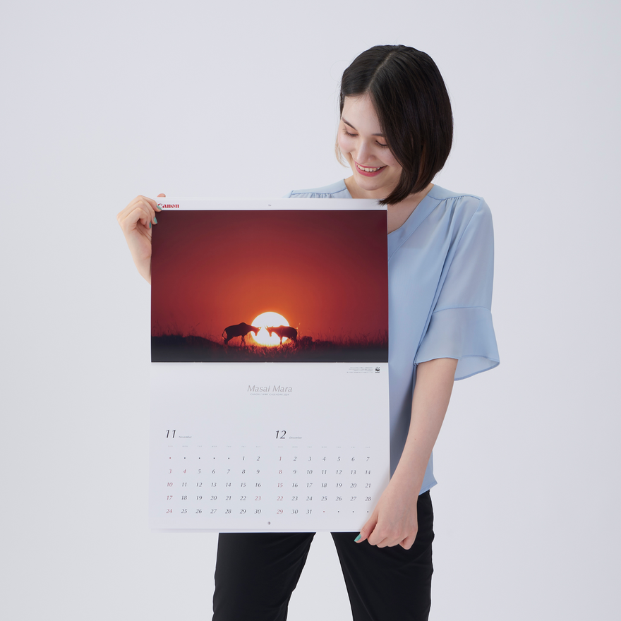 2024 岩合光昭カレンダー(セール)