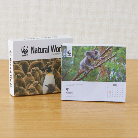 WWF 日めくりカレンダー2024 Natural World Box