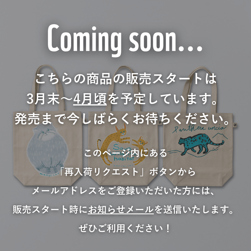 【予告】2026新作バッグ各種｜３～4月頃発売予定