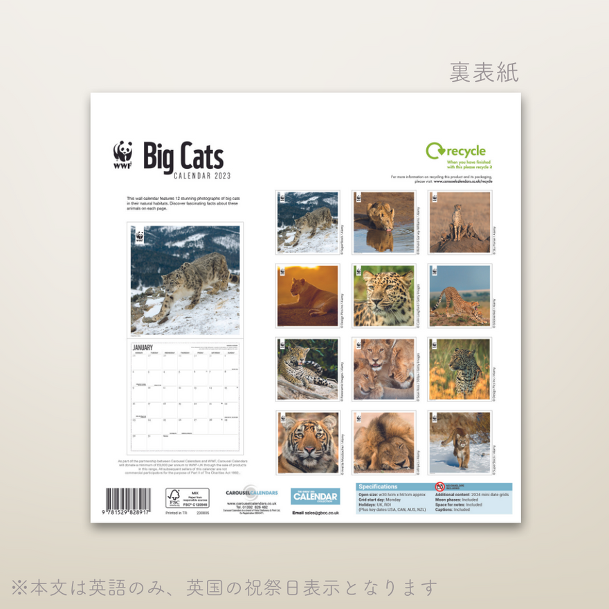 WWF 壁かけカレンダー2023 Big Cats(セール)