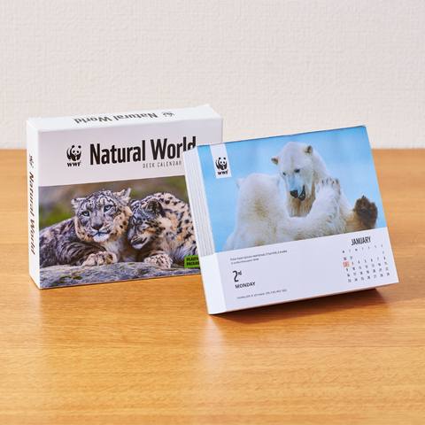 WWF 日めくりカレンダー2023 Natural World Box (セール)