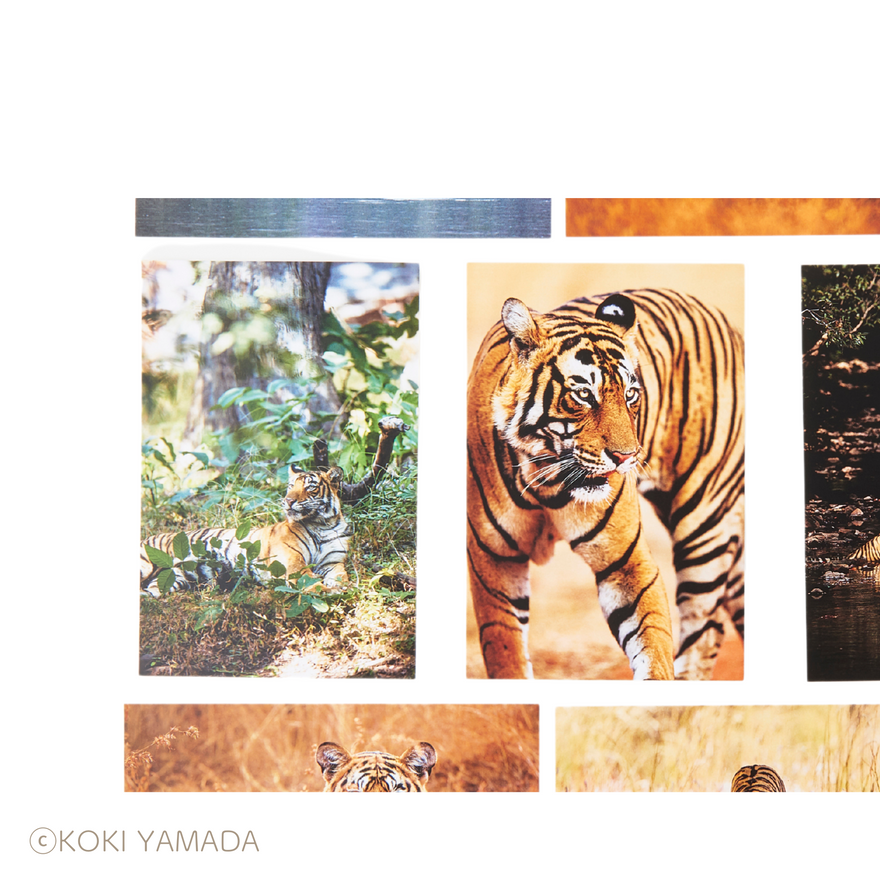 山田耕熙コレクション「Save “Our” Home!」ポストカード(セール 山田耕熙コレクション「Save “Our” Home!」ポストカード(セール