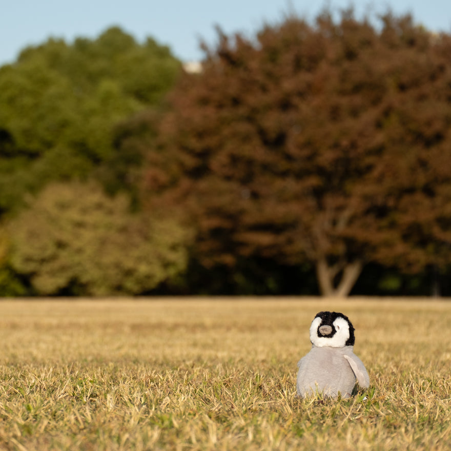 エコキンズ コウテイペンギン 赤ちゃん 8"