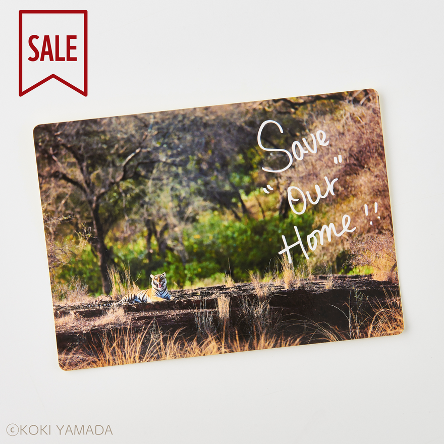 山田耕熙コレクション「Save “Our” Home！」Big sticker(セール)