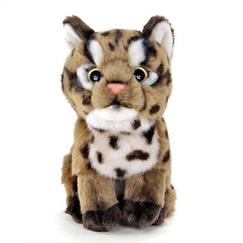 ネコ科ぬいぐるみ・イリオモテヤマネコ（子）　