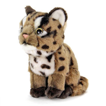 ネコ科ぬいぐるみ・イリオモテヤマネコ（子）　