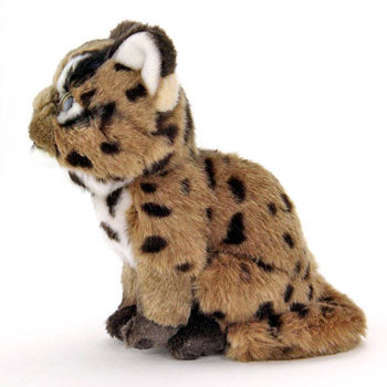 ネコ科ぬいぐるみ・イリオモテヤマネコ（子）　