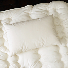 オーガニックコットン枕 GOTS認証 – WWFジャパン PANDA SHOP オーガニックコットン枕 GOTS認証 – WWFジャパン PANDA SHOP